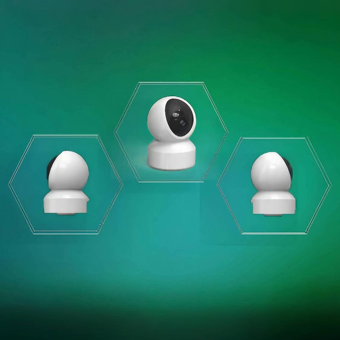 IP camera